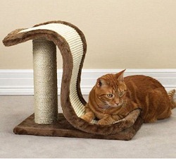 Meow Town Plush Scratch N Slide 