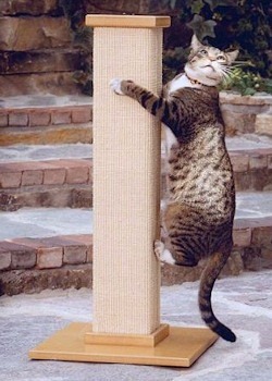 SmartCat Ultimate Scratching Post