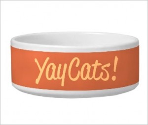 No Plastic Pet Bowls!